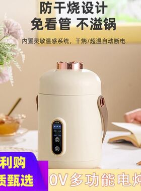 110V伏电炖锅小家电智能煮粥神器多功能便携煲汤熬粥养生锅电炖杯