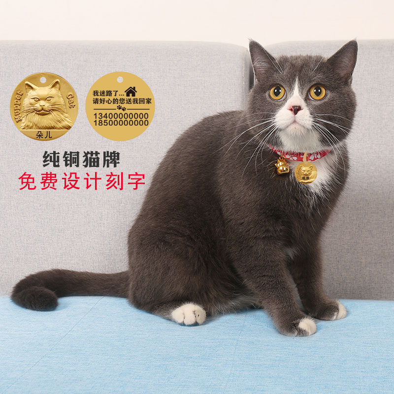 猫牌项圈刻字防丢猫咪项圈铃铛猫牌脖圈定制和风可调节纯铜挂牌
