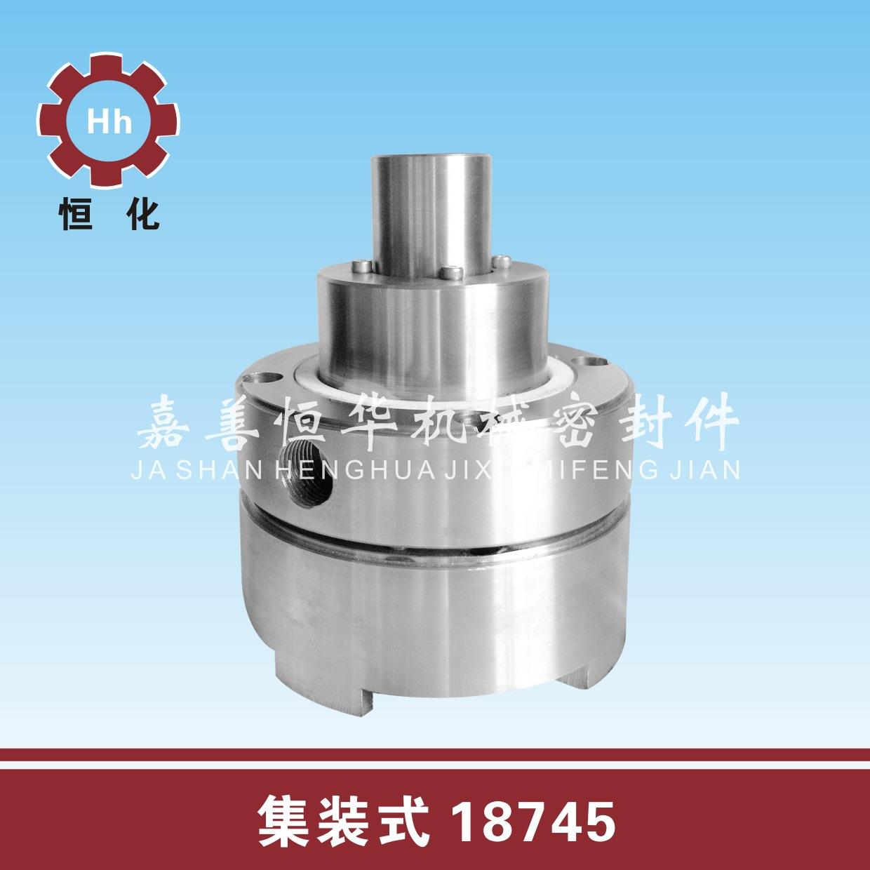 18745 化工机封 水封油封 机械密封 水泵 集装式 恒华恒化