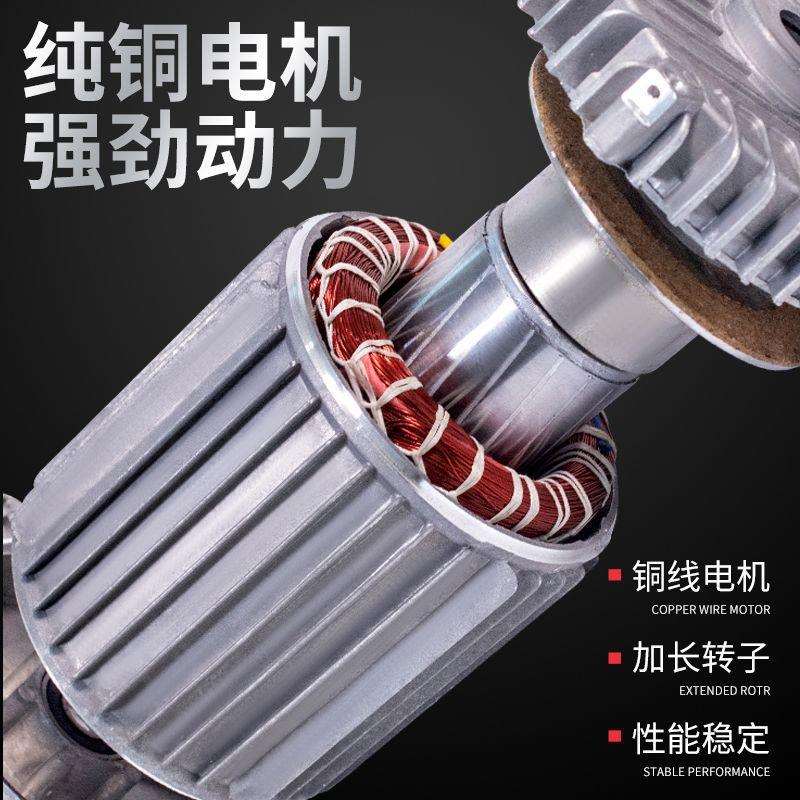 电动葫芦220v小型吊机微电家用起重小型提升机建筑装修升降机X20