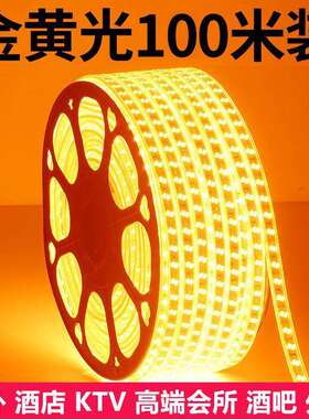 金黄光5730双排贴片黄光酒店KTV户外防水金黄色线灯120珠LED灯带