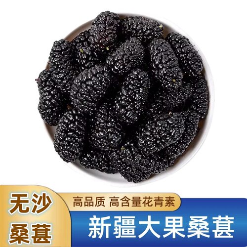 新疆包邮新疆【特大果桑葚干】新鲜大粒非野生免洗无沙桑葚泡水即