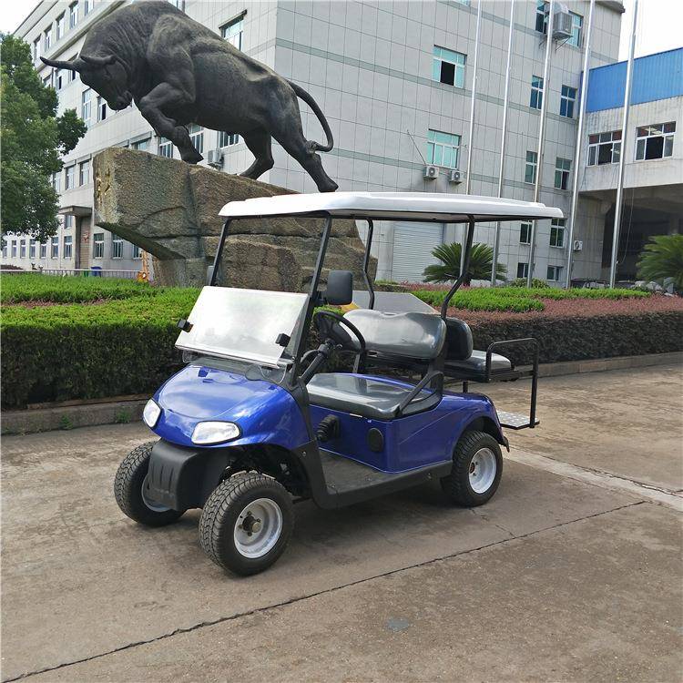 带棚广告宣传高尔夫款式低速微型油电两用四轮代步燃油观光车