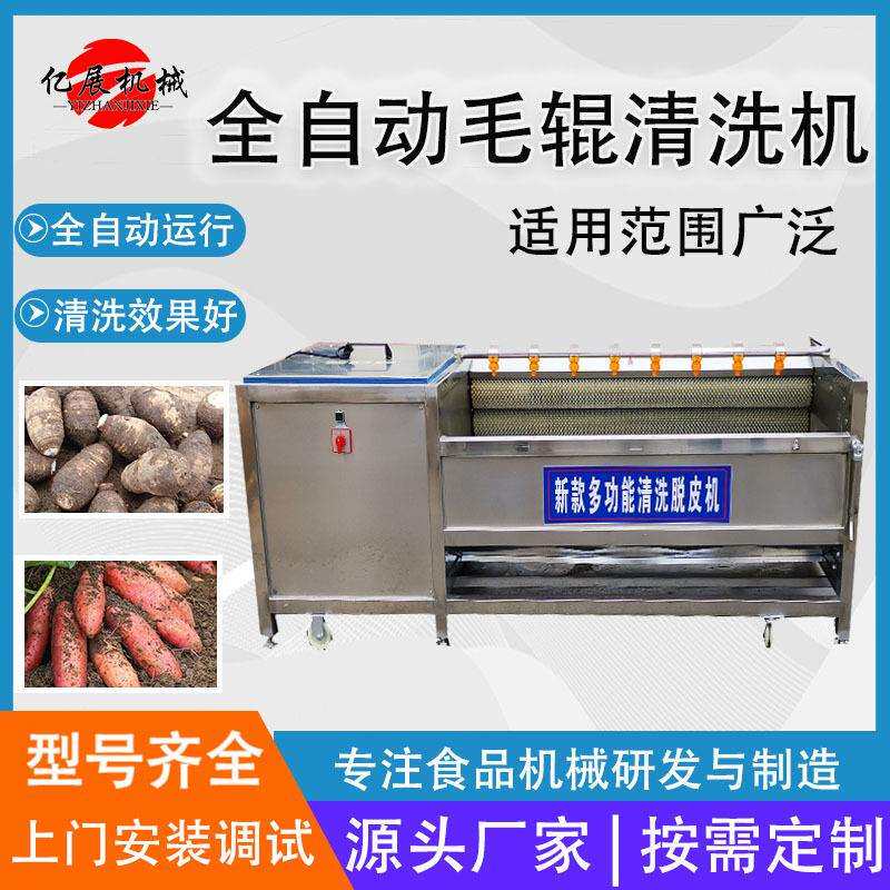 粽叶清洗机大姜毛辊清洗设备山芋土豆花生去皮去泥沙清洗机