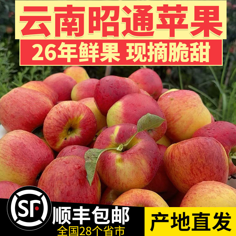 顺丰2026年新鲜云南昭通苹果脆甜