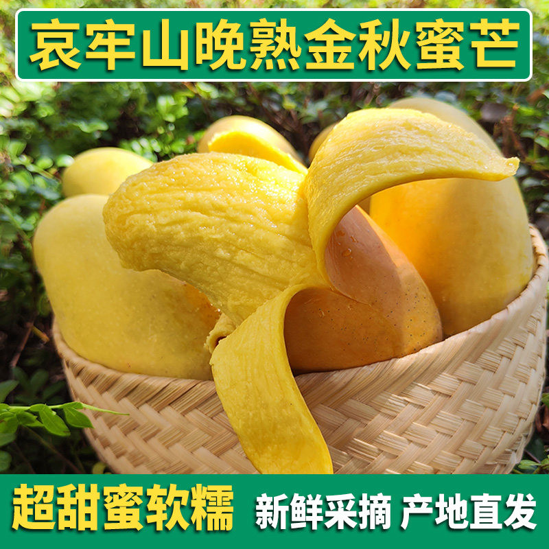 云南哈尼蜜芒元江晚熟芒果