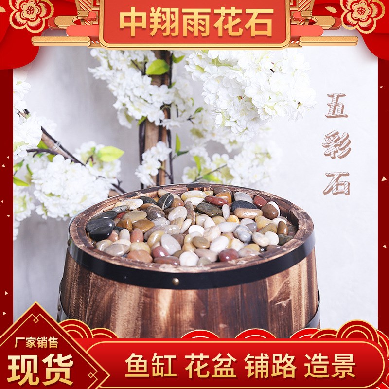 南京鹅卵石雨花石小石子鱼缸花盆多肉装饰盆栽园艺造景五彩石5斤