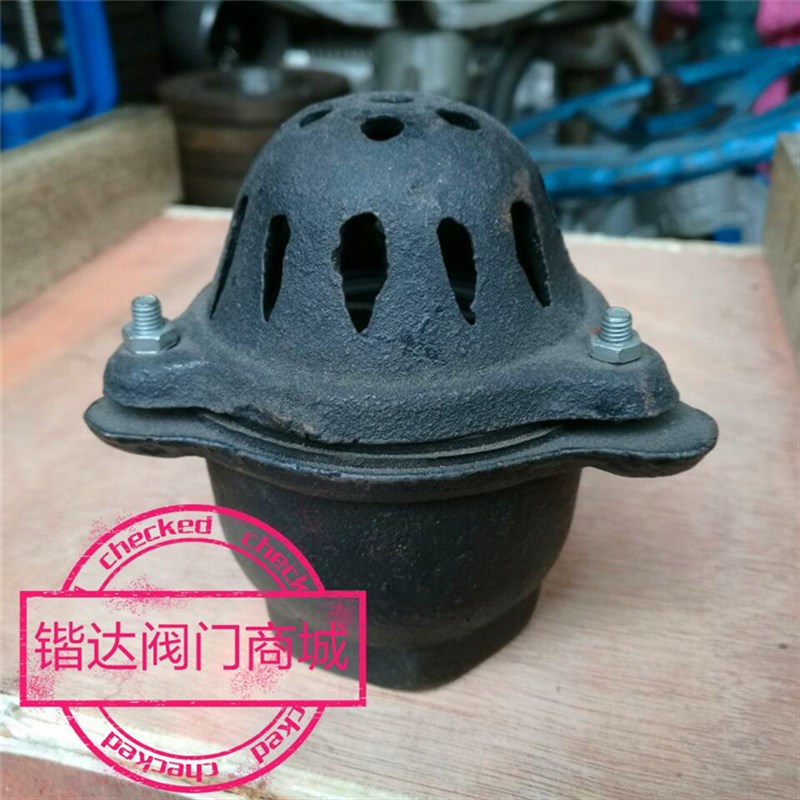 铸铁丝口底阀抽水泵底阀软管阀门清水过滤P器水管笼头花篮滤网