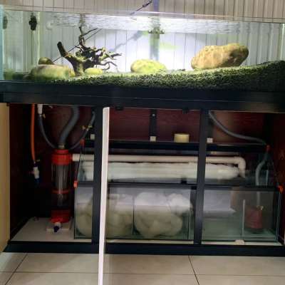 溪流缸鱼缸超白玻璃客厅中型生态造景原生水草底V滤下过滤水族箱