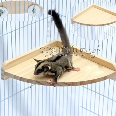 蜜袋鼯扇形踏板跳台笼子配件蜜袋鼯玩具