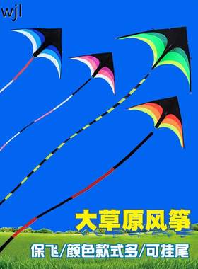 超级风筝新款大草原巨型夜光灯大人大型专用抗大风2024年专业晚上