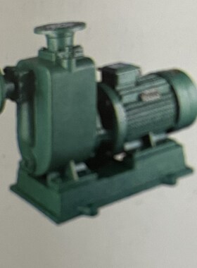 ZW自吸无堵塞排污泵,