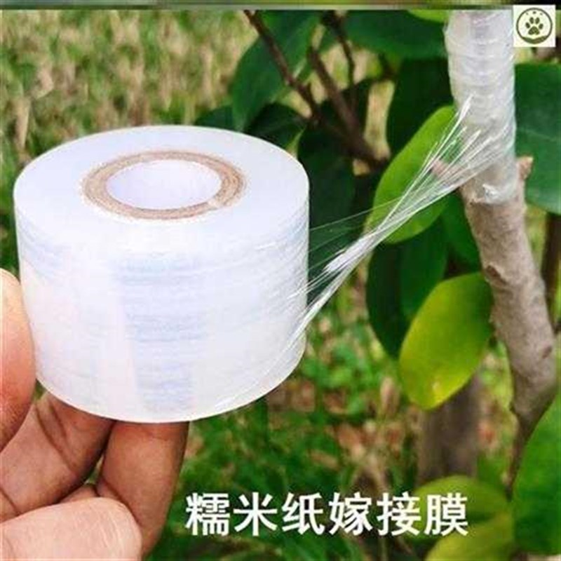 嫁接膜树木植物专用嫁w接膜自粘嫁接带果树架接膜