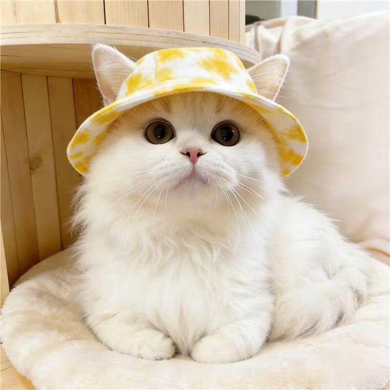 宠物猫咪帽子夏季外出遮阳帽露耳朵可爱曼赤肯德文布偶狗狗渔夫帽