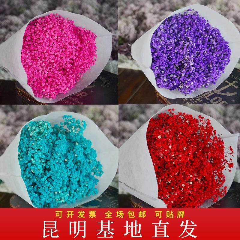 满天星干花干花花束大束厂家直销永生花diy材料真花装饰摆设家用