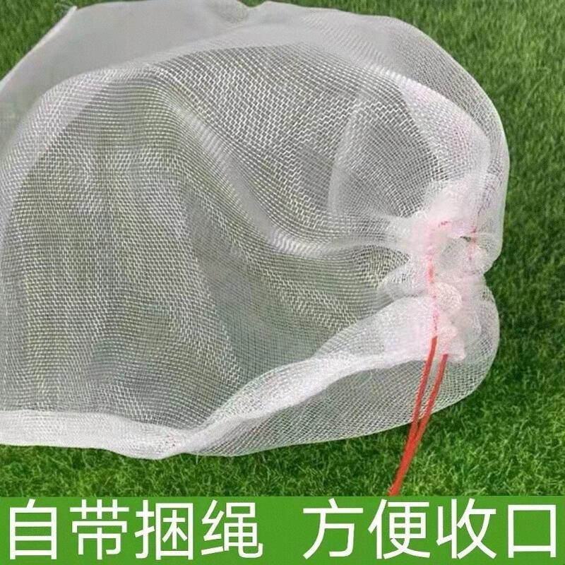水果防虫网袋网兜尼龙过滤纱网束口袋晾晒腊肉防鸟套袋茶青蛇袋网