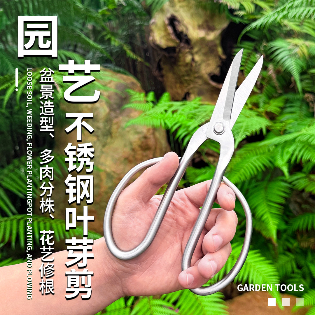 小巧匠全不锈钢叶芽剪盆景造型多肉分株花艺修根园艺工具锋利耐用