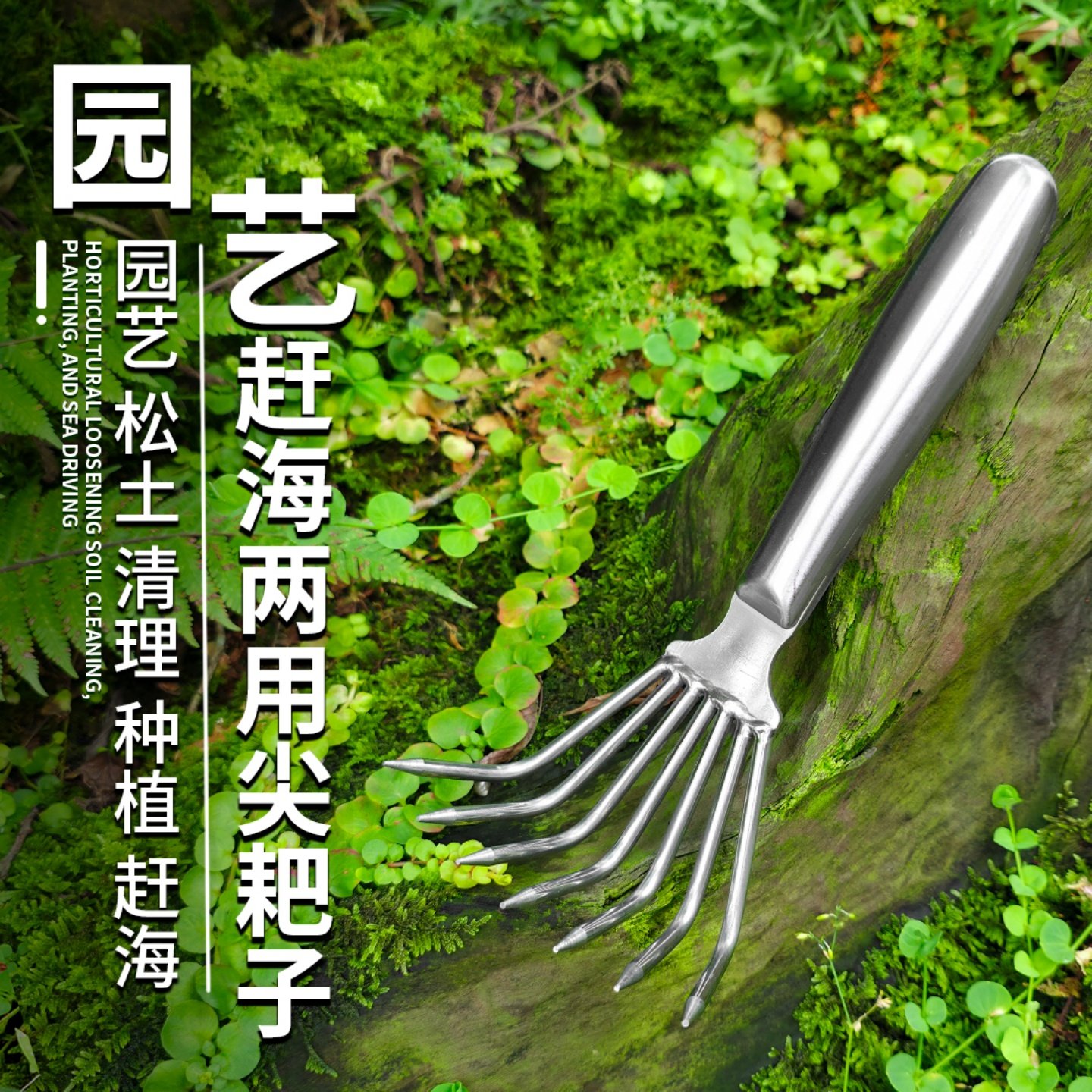 赶海耙子不锈钢挖蛤蜊花蛤贝壳图片
