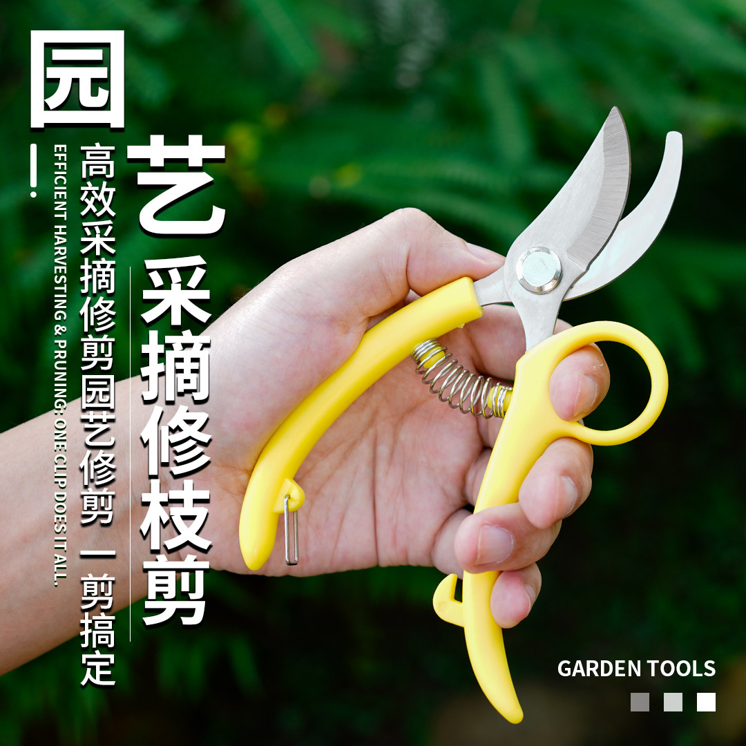 小巧匠园艺剪子修剪树枝省力修枝剪园林果树花剪刀摘果剪子采果剪