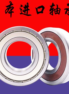 进口日本NSK轴承6016 6017 6018 6019 6020 6021 6022 6024ZZ DDU