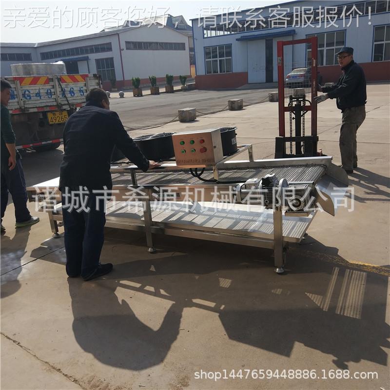 鲜花椒加设备 保鲜椒杀真青生产线 空包装花RSY椒工杀菌杀保青机