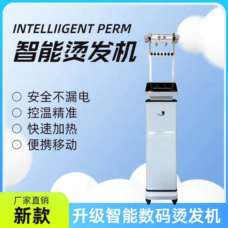 新款24V智能数码烫发机恒温烫发机器艾文发廊专用跨境快速加热器