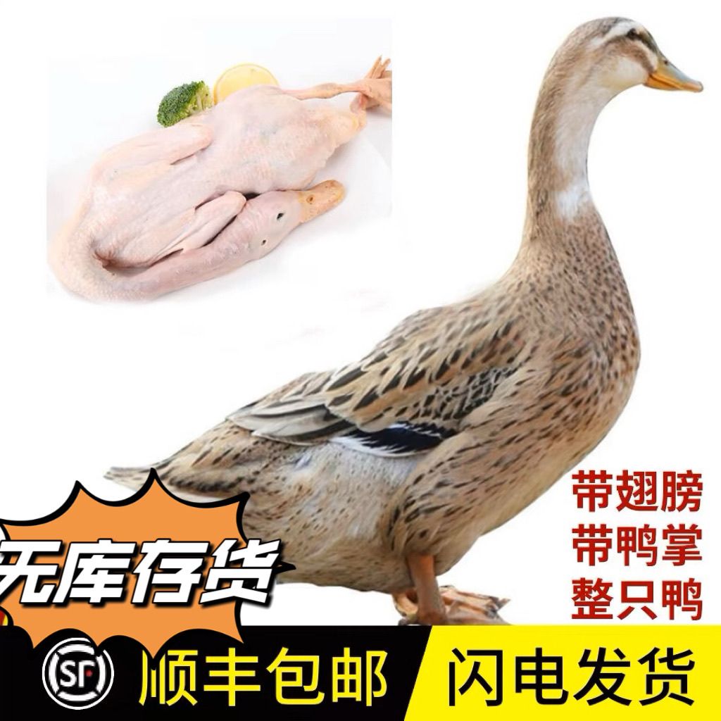 【顺丰包邮】新鲜冷冻全仔鸭土鸭农家散养土鸭子生鲜鸭肉