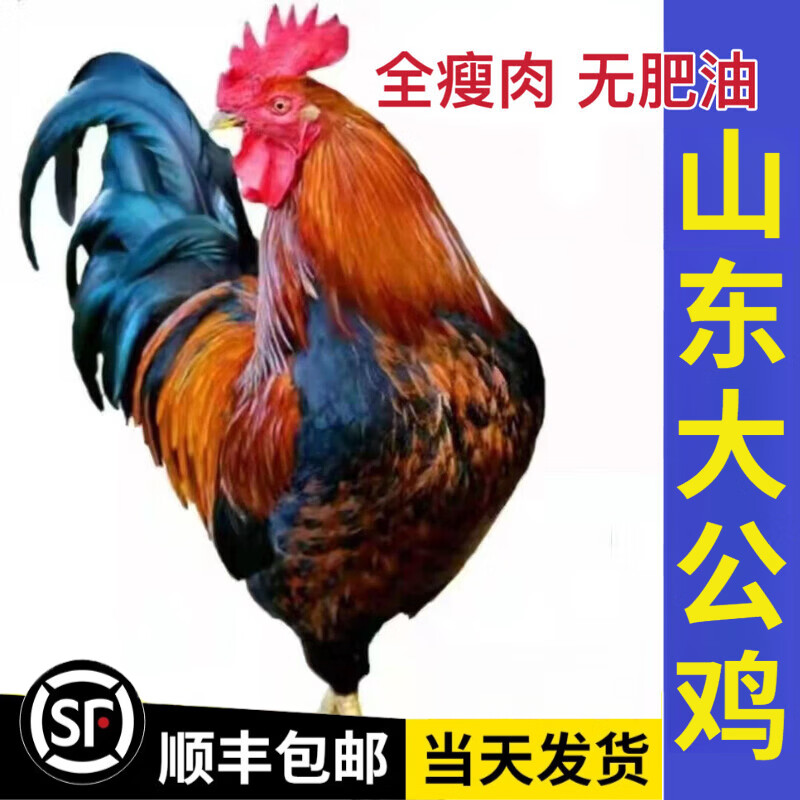 大公鸡现杀生鲜鸡肉整只