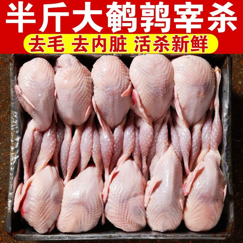 【顺丰包邮】特大现杀新鲜鹌鹑生鲜去内脏新鲜鹌鹑肉鹌鹑