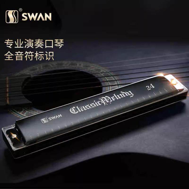 德国进口音簧24孔复音口琴A/B/C/D/E/F/G/12调高端专业演奏级送礼