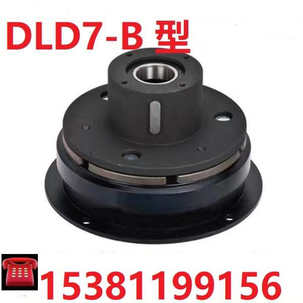 干式24V内轴承圆盘电磁离合器DLD7-05/10/20/40/80/160/320AB 12V