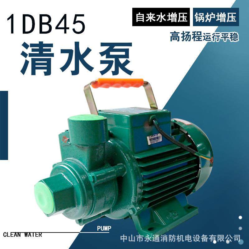 1DB45增压泵220V家用花园厂房自来水管道增压微型清水离心泵