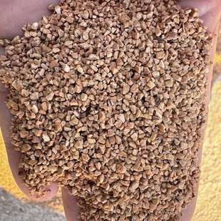 多规格核桃壳颗粒天然抛光油田堵漏剂核桃壳粉核桃壳活性炭量大优