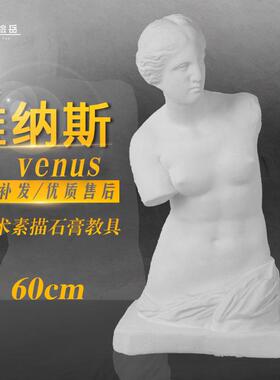 绘岳维纳斯半身石膏头像全身像美术素描教具石膏像家居摆件装饰