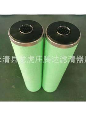爱德华E2M40/80真空泵滤芯A22304020