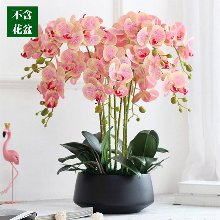 蝴蝶兰仿真花高级手感兰花摆放
