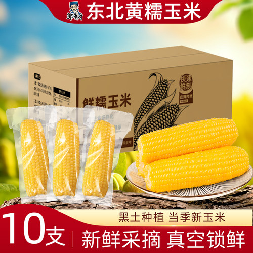东北黄糯玉米当季新玉米