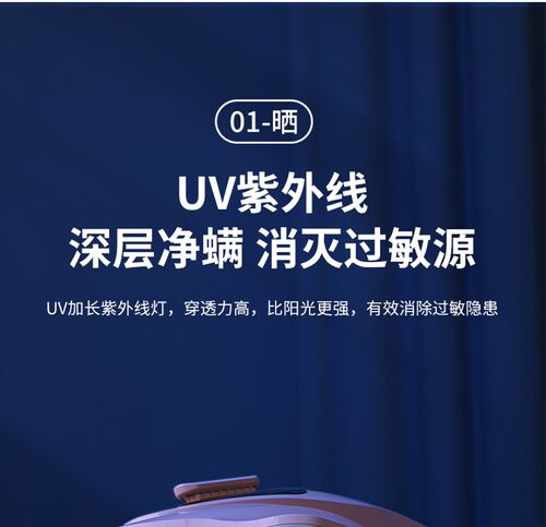 新品110V除螨仪床上沙r发除螨家用紫外线拍打小型高频静音手持式