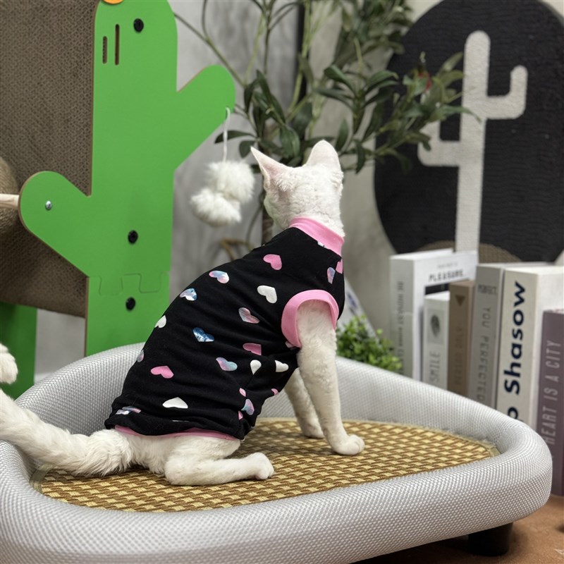 极速无毛猫衣服薄夏四脚护肚吊带背心弹力矮脚Q德文猫斯芬克斯猫图片