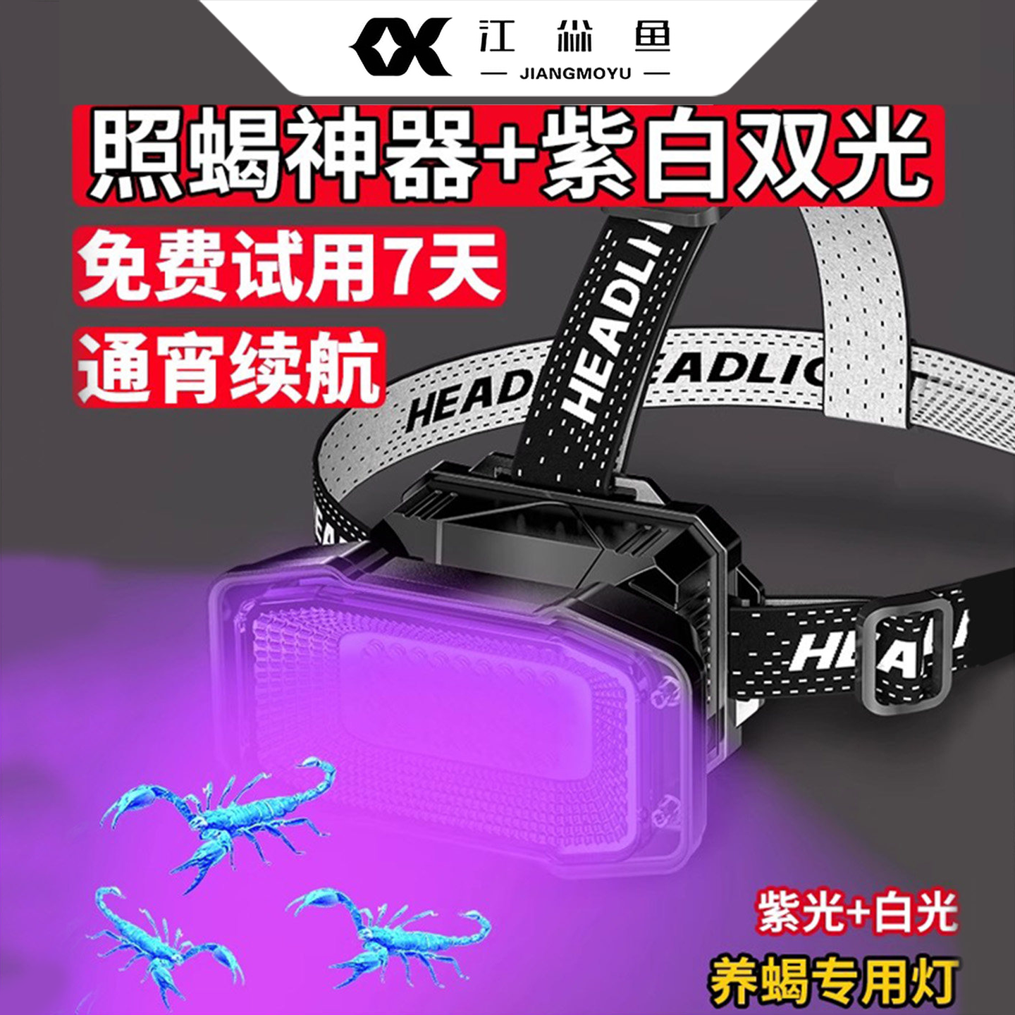 江尛鱼蝎子灯头戴式2026新款专用