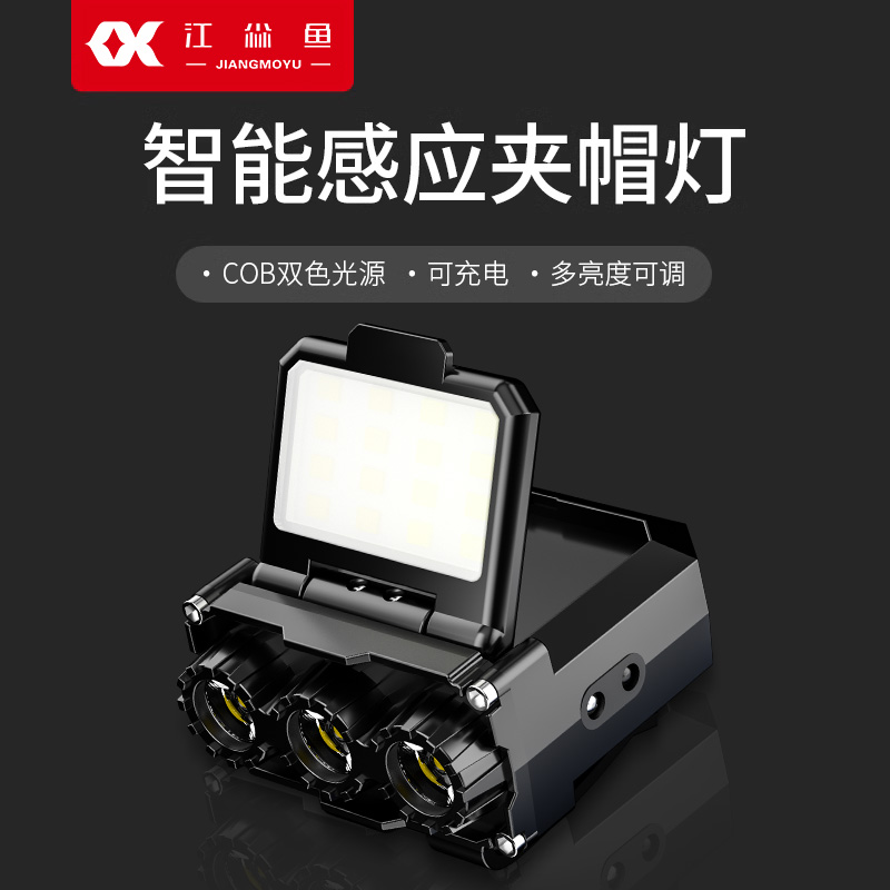 江尛鱼头灯钓鱼专用2024泛光
