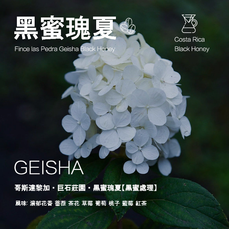 黑蜜瑰夏咖啡豆巨石庄园黑蜜处理