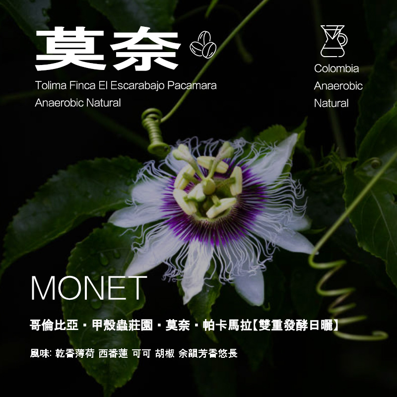 莫奈咖啡豆哥伦比亚甲壳虫庄园
