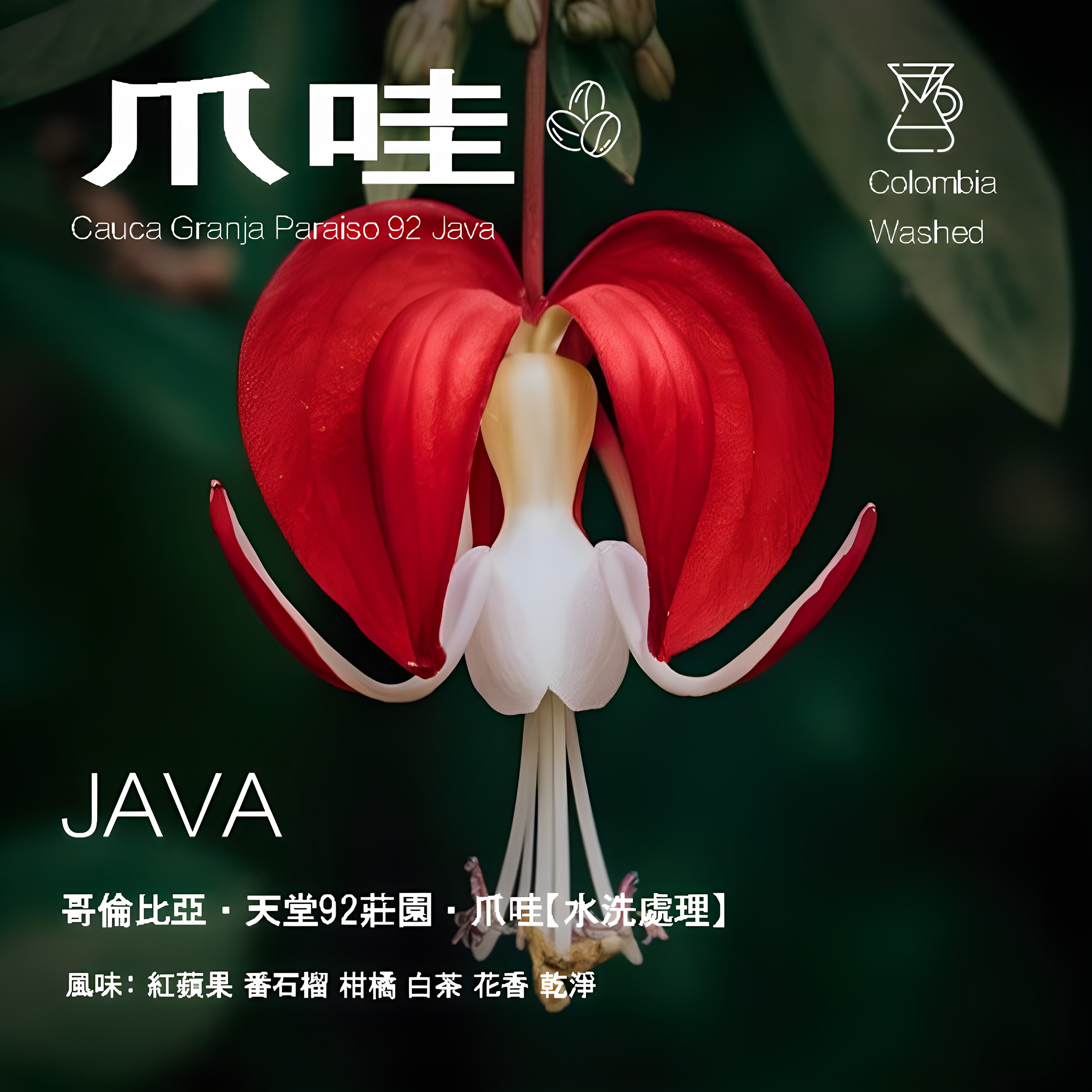 岚幻哥伦比亚天堂92庄园爪哇水洗处理咖啡豆手冲单品豆 新鲜烘焙