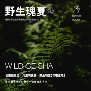 埃塞俄比亚戈里瑰夏森林野生瑰夏Geisha咖啡豆日晒 手冲单品咖啡