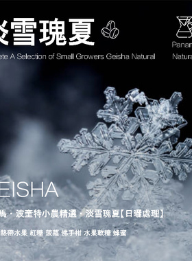 巴拿马波奎特小农精选淡雪瑰夏Geisha日晒处理咖啡豆手冲单品咖啡
