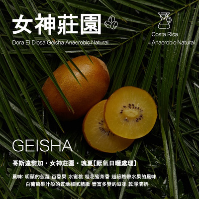 哥斯达黎加 女神庄园EI Diosa 瑰夏Geisha日晒处理 手冲单品 袋装