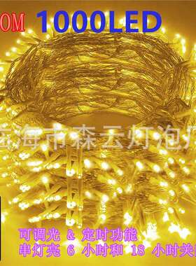 1000LED低压UL遥控灯串圣诞花园灯条灯带节日装饰星星串灯