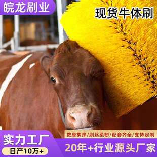 厂家直供畜牧牛体刷蹭痒马体刷全自动旋转辊刷奶牛按摩刷辊立柱刷