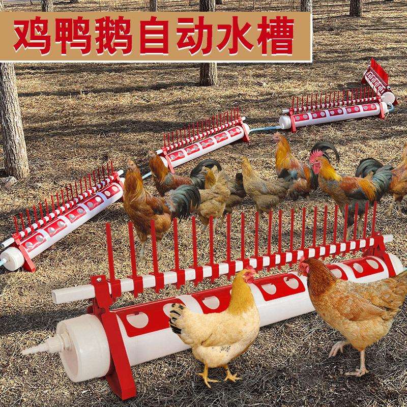 3养殖家禽专用饮水器鸡用饮水槽喝水器养鸡自动喂水槽鸡自动水槽